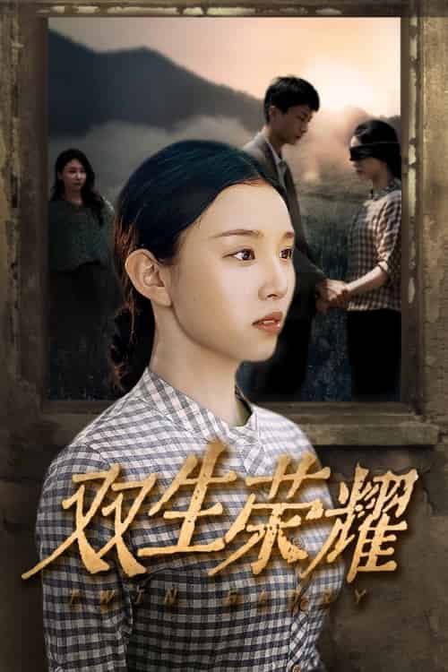 双生荣耀（71集） - 傲图好剧