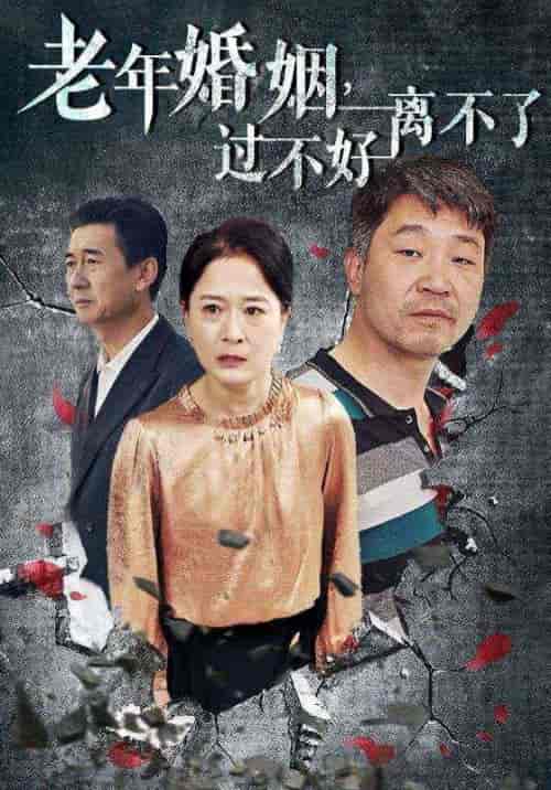 老年婚姻过不好离不了（50集全） - 傲图好剧