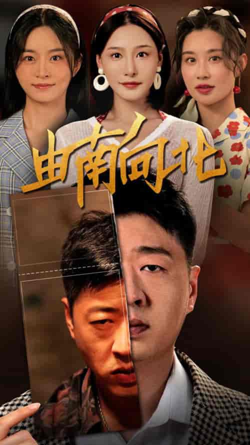 由南向北（88集）李会长 - 傲图好剧