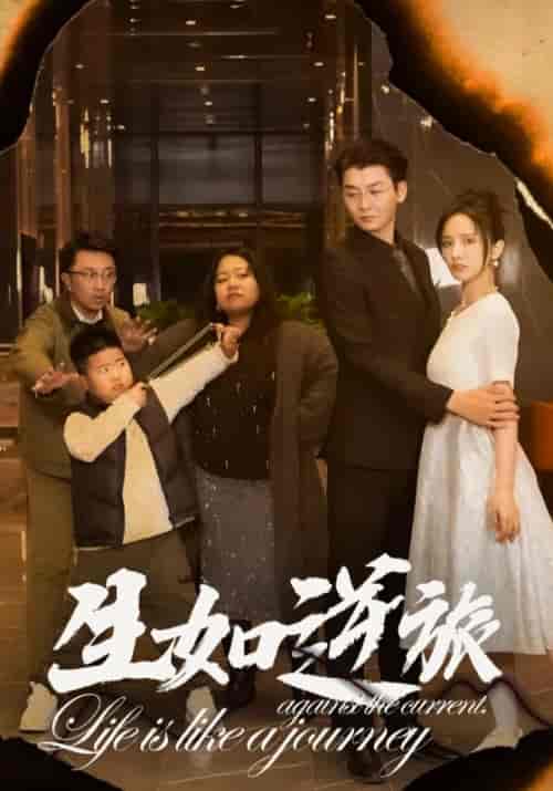 生如逆旅（31集全）姜恒＆韩雨薇 - 傲图好剧
