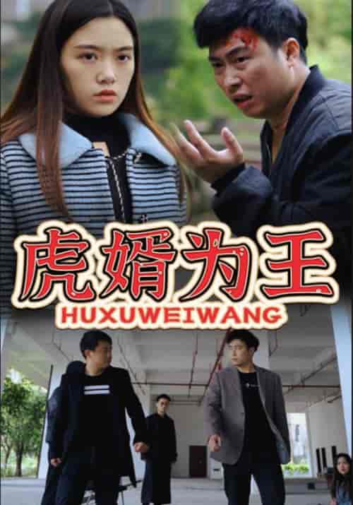 虎婿为王（90集全）杨云飞＆曾对对 - 傲图好剧