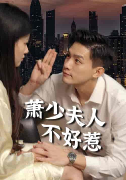 萧少夫人不好惹（100集全） - 傲图好剧