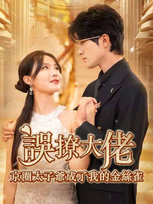 誤撩大佬，京圈太子爺成了我的金絲雀（97集全）薄靳修＆姜辭憂 - 傲图好剧