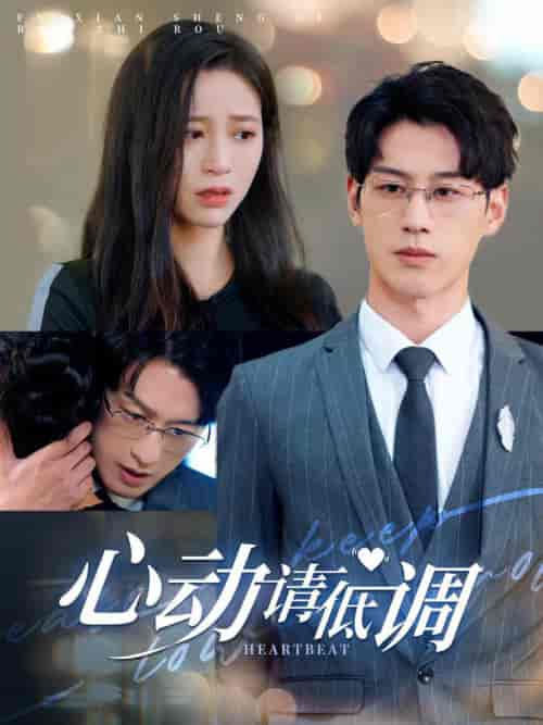 心动请低调（100集全）韩录锦 - 傲图好剧