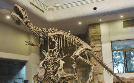 巴恩钵式龙：性格极其温和，能与其他生物共同发展