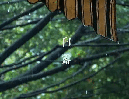 探索白露节气的历史由来，白露时的气候特征是怎样的？