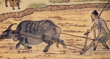 西晋的土地制度是怎么样的？详解西晋的土地制度