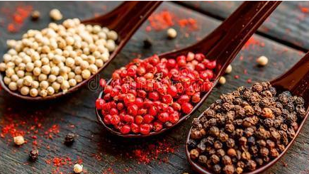 在金银盛行的古代，胡椒为什么能当做俸禄发放给官员？