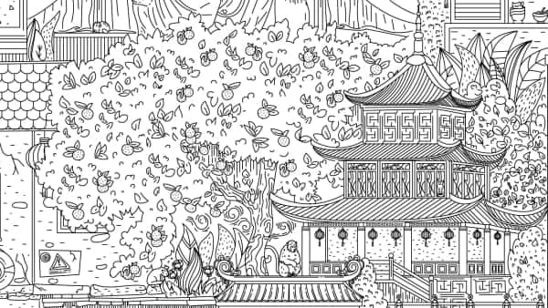 隐藏在中国的猫/Cats Hidden in China
