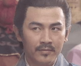 辛宪英是什么人？她有何才能