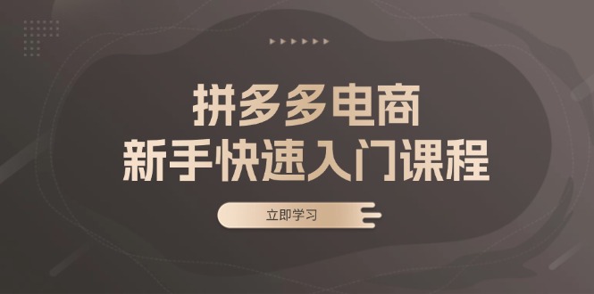 拼多多电商新手快速入门课程：涵盖基础、实战与选款，助力小白轻松上手 - 中创网项目