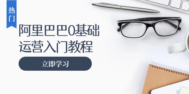 阿里巴巴运营零基础入门教程：涵盖开店、运营、推广，快速成为电商高手 - 中创网项目