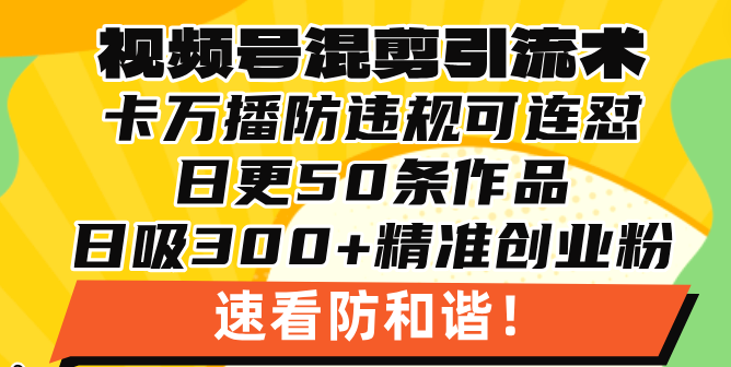 视频号混剪引流技术，500万播放引流17000创业粉，操作简单当天学会 - 中创网项目