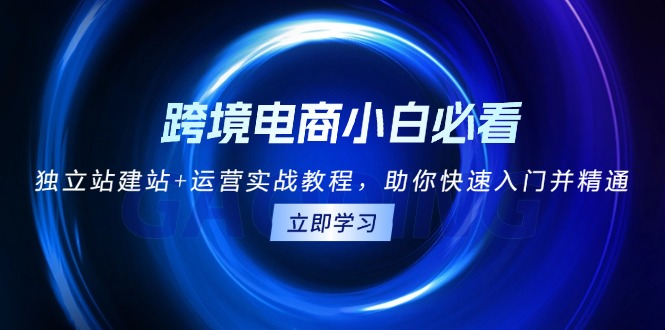 跨境电商小白必看！独立站建站+运营实战教程，助你快速入门并精通 - 中创网项目