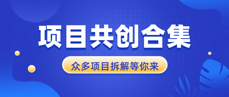 项目共创合集，从0-1全过程拆解，让你迅速找到适合自已的项目 - 中创网项目