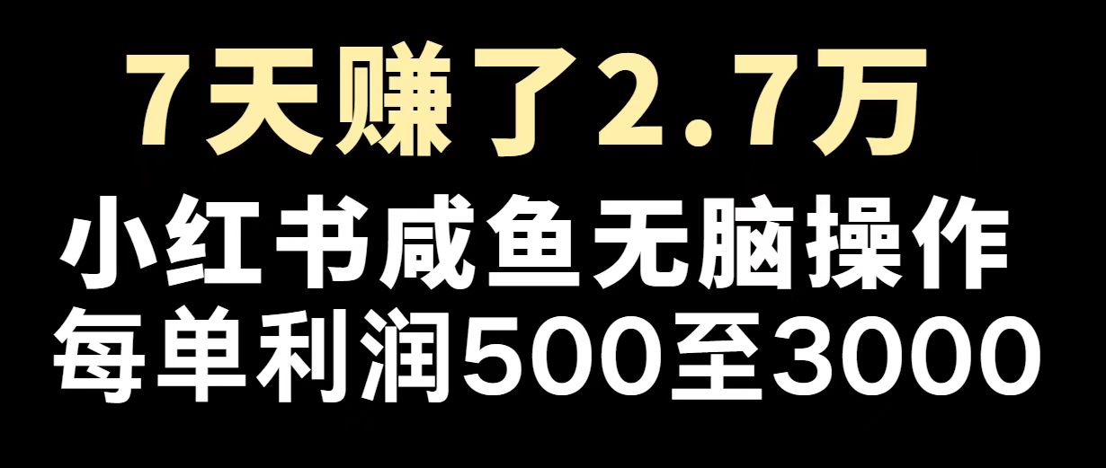 最赚钱项目之一，2025爆火，逆风翻盘！ - 中创网项目