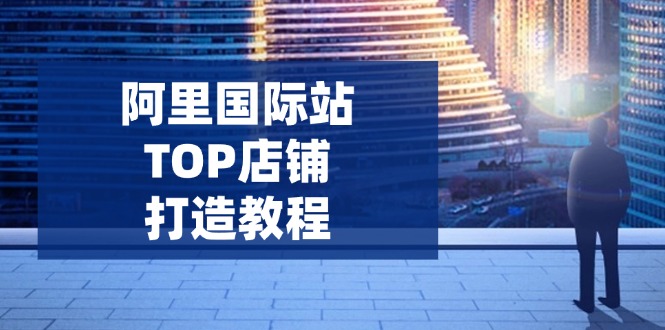 阿里国际站TOP店铺打造教程：涵盖平台到高阶，解决运营难题，提升询盘 - 中创网项目