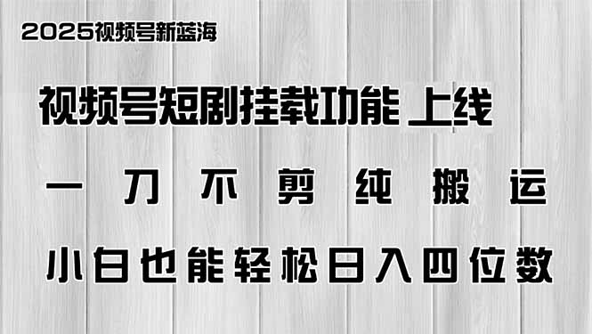 视频号短剧挂载功能上线，一刀不剪纯搬运，小白也能轻松日入四位数 - 中创网项目