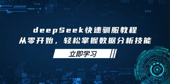 deepSeek快速驯服教程，从零开始，轻松掌握数据分析技能 - 中创网项目