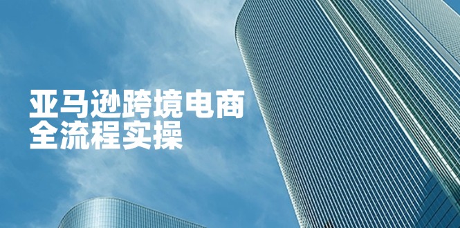 亚马逊跨境电商全流程实操，教你从零开始，掌握店铺运营与广告技巧 - 中创网项目