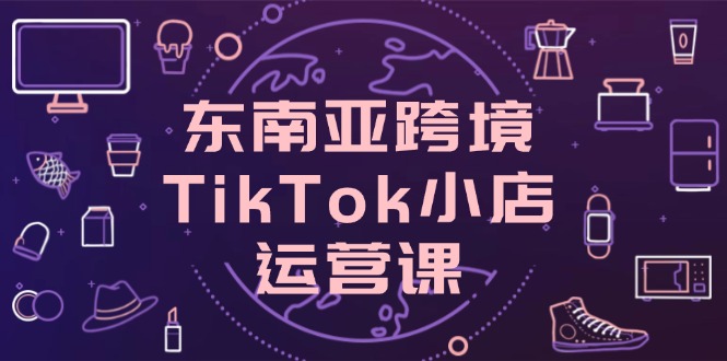 东南亚跨境TikTok小店运营课，掌握店铺设置与流量转化核心技巧 - 中创网项目