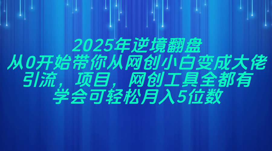 2025年逆境翻盘，从0开始带你从网创小白变成大佬，引流，项目，网创工... - 中创网项目