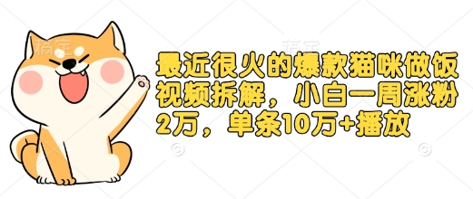 最近很火的爆款猫咪做饭视频拆解，小白一周涨粉2万，单条10万+播放(附保姆级教程) - 冒泡网项目