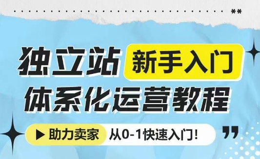 独立站新手入门体系化运营教程，助力独立站卖家从0-1快速入门! - 冒泡网项目