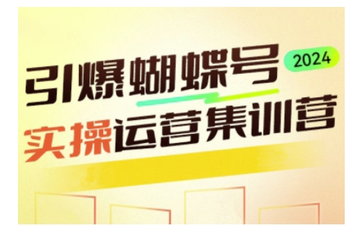 引爆蝴蝶号实操运营，助力你深度掌握蝴蝶号运营，实现高效实操，开启流量变现之路 - 冒泡网项目