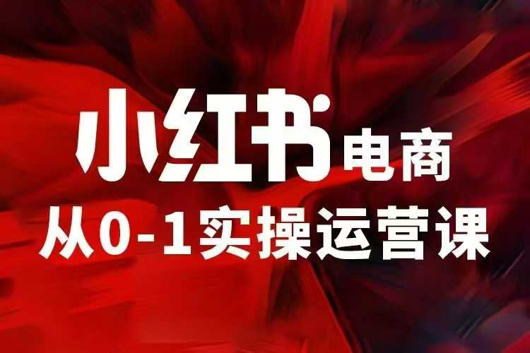 小红书电商运营，97节小红书vip内部课，带你实现小红书赚钱 - 冒泡网项目