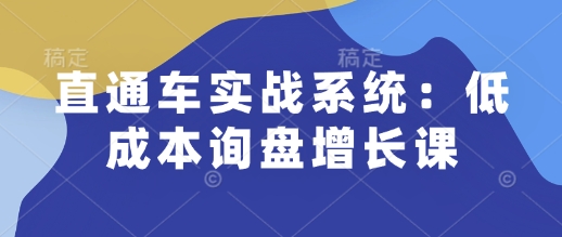 直通车实战系统：低成本询盘增长课，让个人通过技能实现升职加薪，让企业低成本获客，订单源源不断 - 冒泡网项目