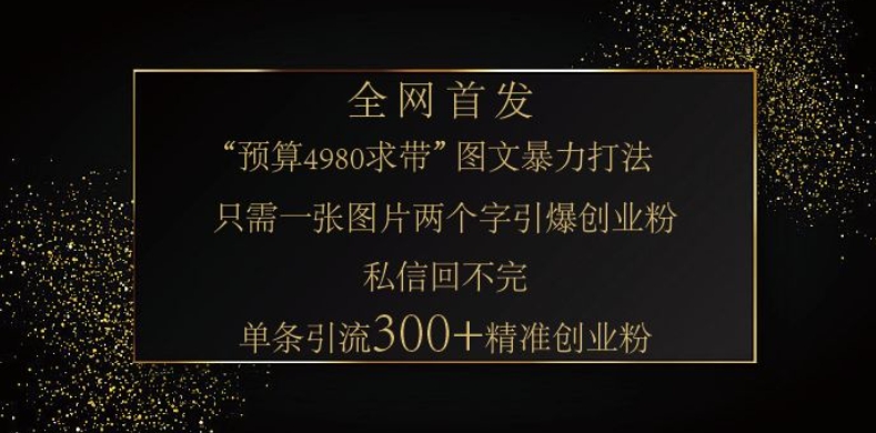 小红书神奇图片引流法，只需一张图，就能单条笔记凭借此方法，轻松引流 300 + 精准创业粉 - 冒泡网项目