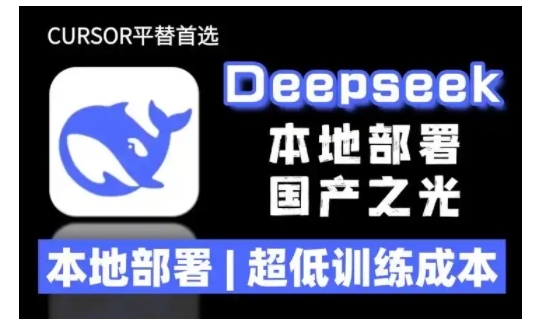 2025年deepseek R1 大型模型本地安装部署(文件+教程)本地部署，超低训练成本 - 冒泡网项目