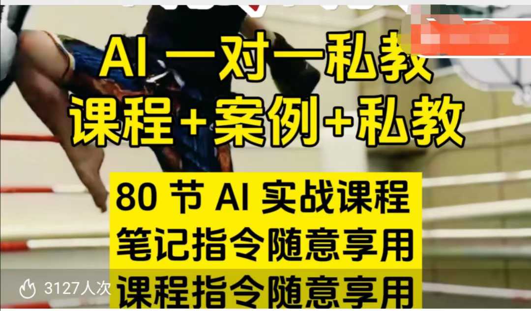 AI指令实战课，课程+案例，80节AI实战课程，笔记指令随意享用，课程指令随意享用 - 冒泡网项目