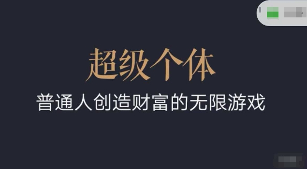 超级个体2024-2025翻盘指南，普通人创造财富的无限游戏 - 冒泡网项目