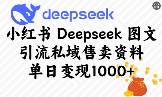 小红书Deepseek图文引流私域售卖资料，单日变现多张 - 冒泡网项目