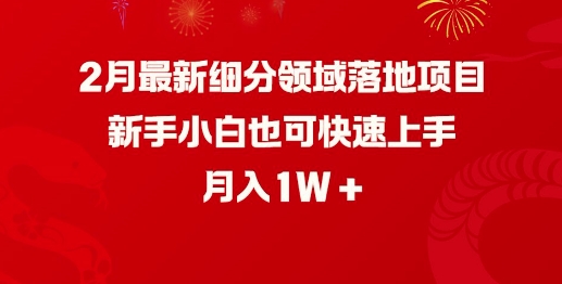 2月最新细分领域落地项目，新手小白也可快速上手，月入1W - 冒泡网项目
