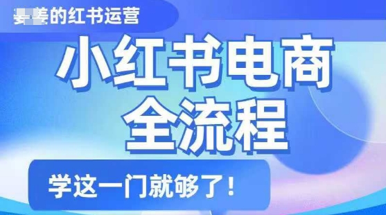 小红书电商全流程，精简易懂，从入门到精通，学这一门就够了 - 冒泡网项目