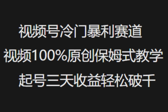 视频号冷门暴利赛道视频100%原创保姆式教学起号三天收益轻松破千 - 冒泡网项目