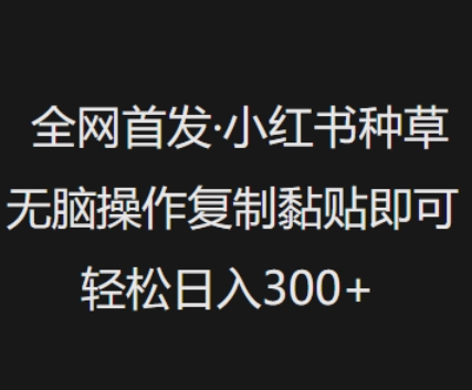 全网首发，小红书种草无脑操作，复制黏贴即可，轻松日入3张 - 冒泡网项目