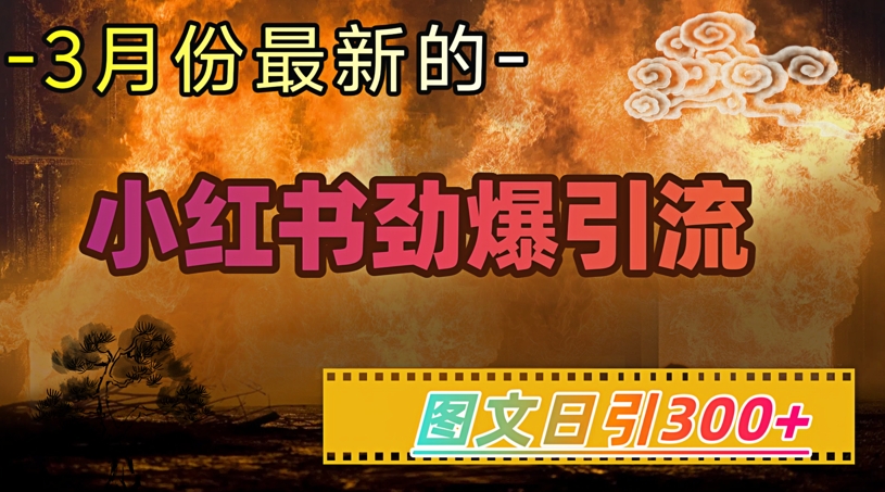 小红书超劲爆引流手段，图文日引300+轻松变现1W - 冒泡网项目