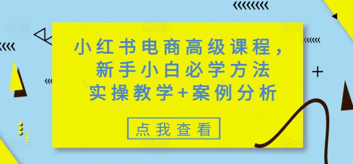 小红书电商高级课程，新手小白必学方法，实操教学+案例分析 - 冒泡网项目