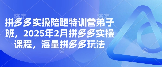 拼多多实操陪跑特训营弟子班，2025年2月拼多多实操课程，海量拼多多玩法 - 冒泡网项目
