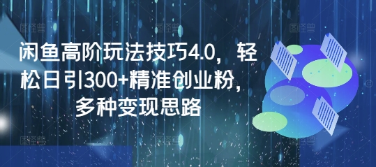 闲鱼高阶玩法技巧4.0，轻松日引300+精准创业粉，多种变现思路 - 冒泡网项目