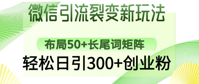 微信引流裂变新玩法：布局50+长尾词矩阵，轻松日引300+创业粉 - 冒泡网项目