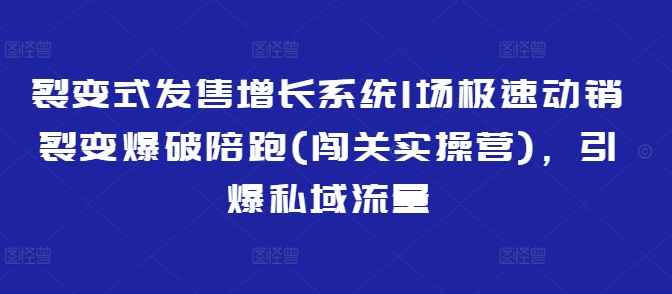 裂变式发售增长系统1场极速动销裂变爆破陪跑(闯关实操营)，引爆私域流量 - 冒泡网项目