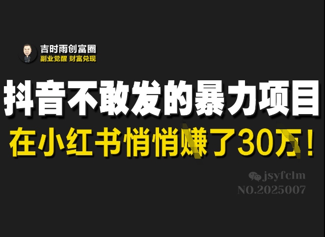 抖音不敢发的暴利项目，在小红书悄悄挣了30W - 冒泡网项目