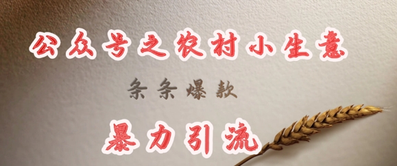 deepseek写农村小项目，条条爆款，暴力引流 - 冒泡网项目