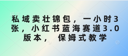 私域卖壮锦包，一小时3张，小红书蓝海赛道3.0版本， 保姆式教学 - 冒泡网项目