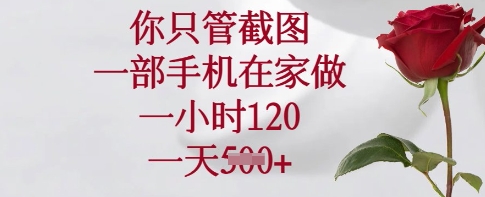 你只管截图，一部手机在家做，一小时120.一天5张 - 冒泡网项目